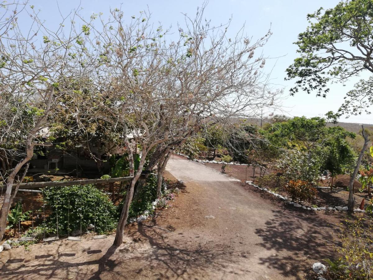 Cucuve Eco Hostal Puerto Baquerizo Moreno Eksteriør billede