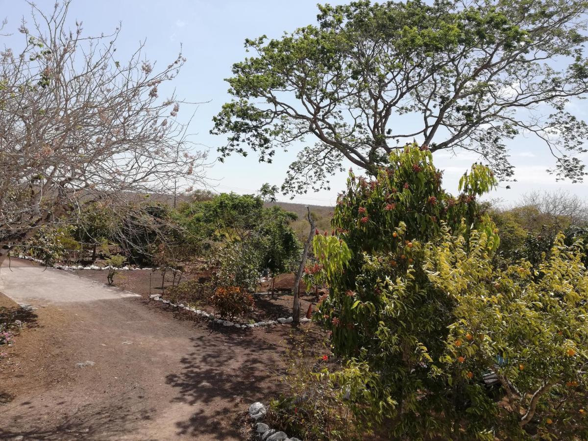 Cucuve Eco Hostal Puerto Baquerizo Moreno Eksteriør billede