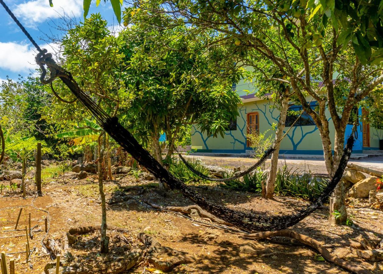 Cucuve Eco Hostal Puerto Baquerizo Moreno Eksteriør billede