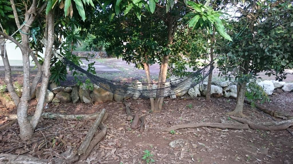Cucuve Eco Hostal Puerto Baquerizo Moreno Eksteriør billede