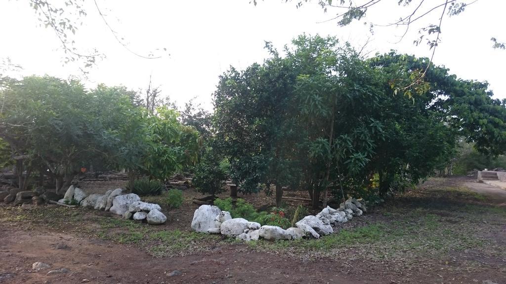 Cucuve Eco Hostal Puerto Baquerizo Moreno Eksteriør billede